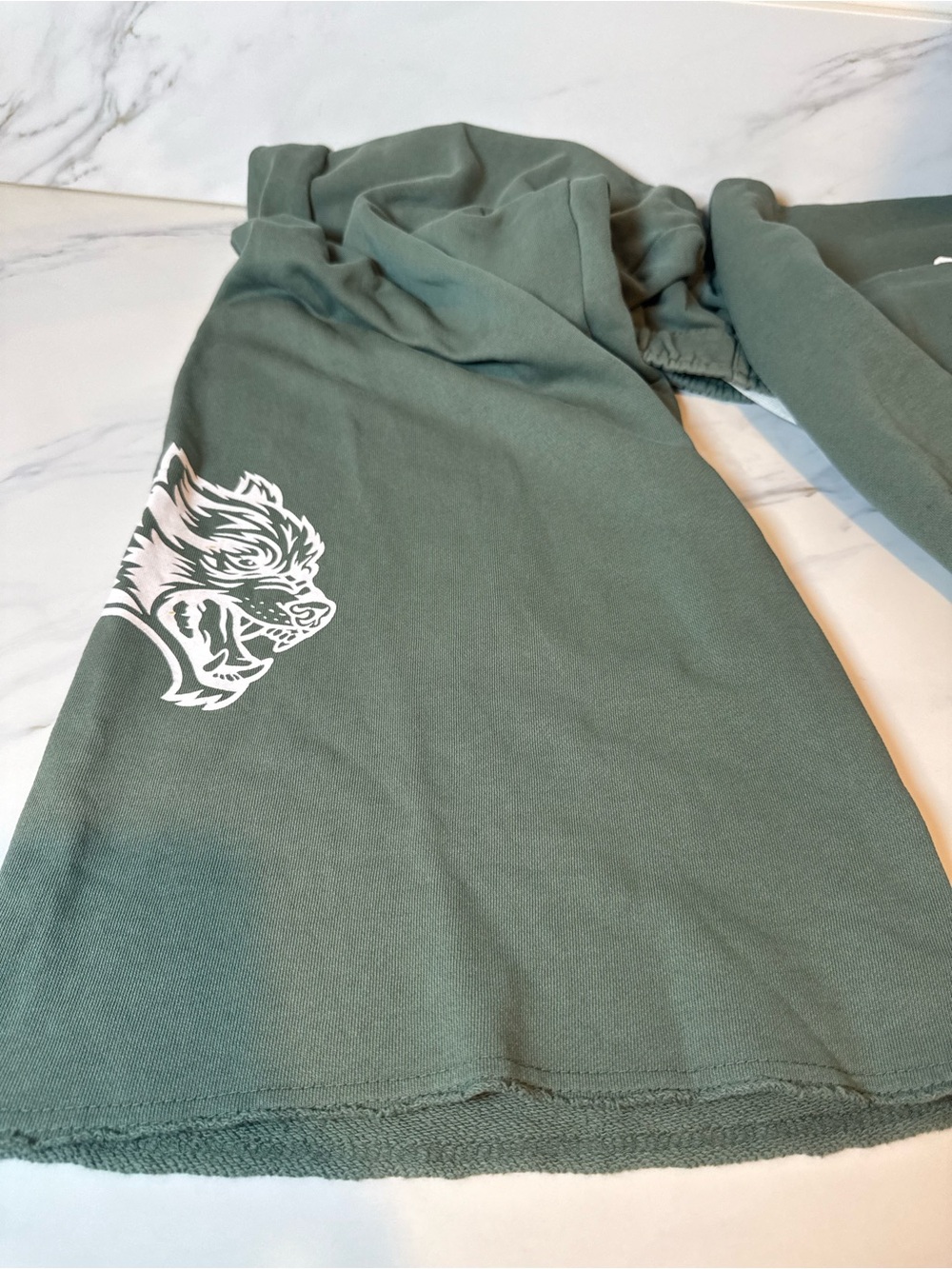 Wolves Darc sport greenish wide leg sweatpants - Picture 4 of 5
